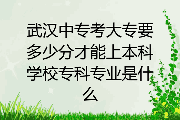 武汉中专考大专要多少分才能上本科学校专科专业是什么