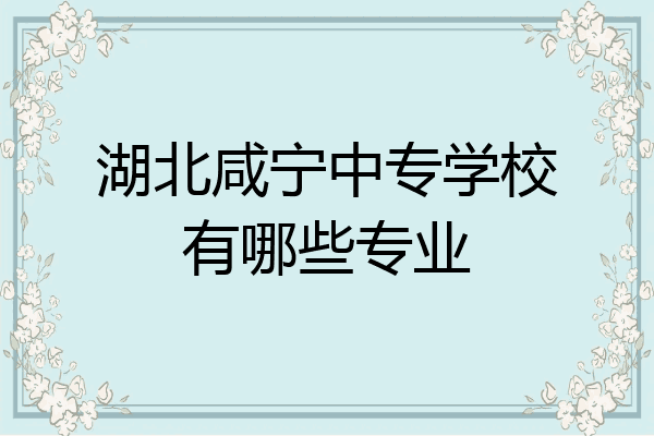 湖北咸宁中专学校有哪些专业