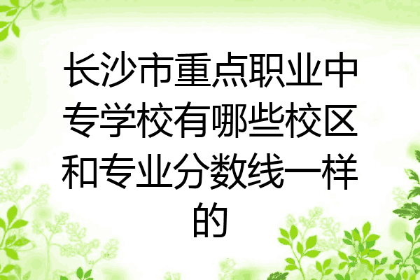 长沙市重点职业中专学校有哪些校区和专业分数线一样的