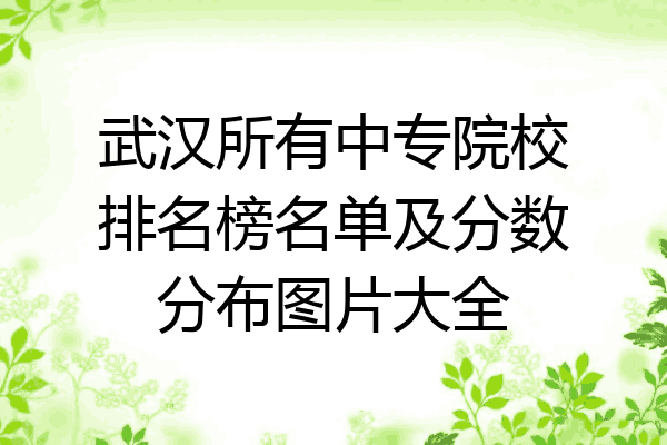 武汉所有中专院校排名榜名单及分数分布图片大全