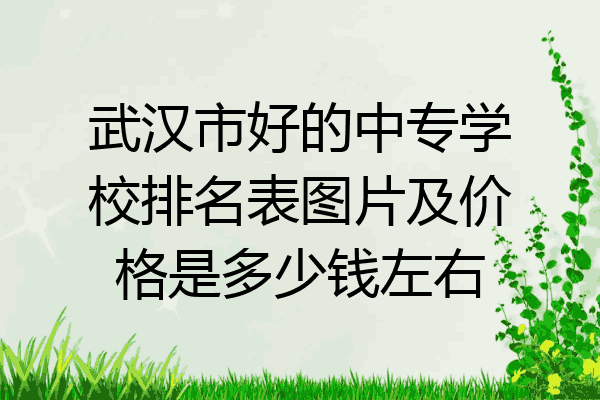 武汉市好的中专学校排名表图片及价格是多少钱左右