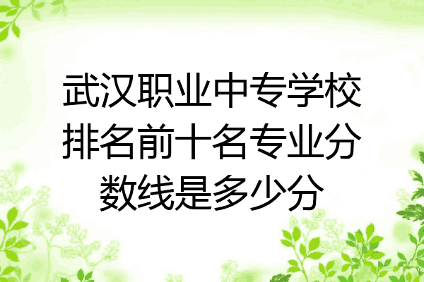 武汉职业中专学校排名前十名专业分数线是多少分