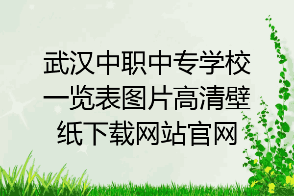 武汉中职中专学校一览表图片高清壁纸下载网站官网