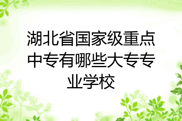 湖北省国家级重点中专有哪些大专专业学校