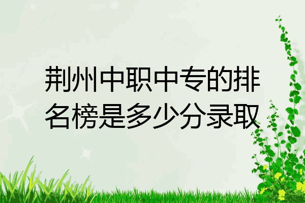 荆州中职中专的排名榜是多少分录取