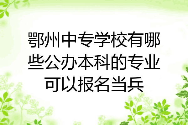 鄂州中专学校有哪些公办本科的专业可以报名当兵