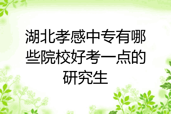湖北孝感中专有哪些院校好考一点的研究生
