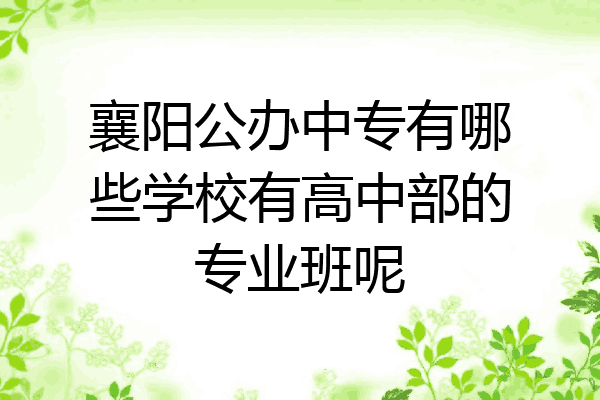 襄阳公办中专有哪些学校有高中部的专业班呢