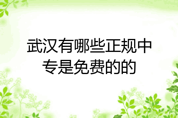 武汉有哪些正规中专是免费的的