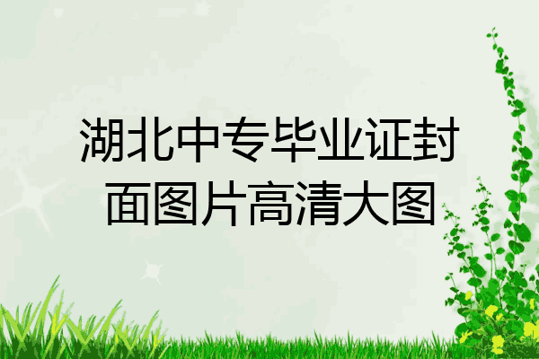 湖北中专毕业证封面图片高清大图