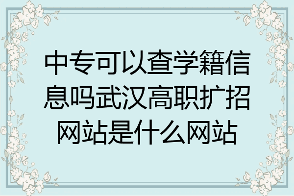 中专可以查学籍信息吗武汉高职扩招网站是什么网站