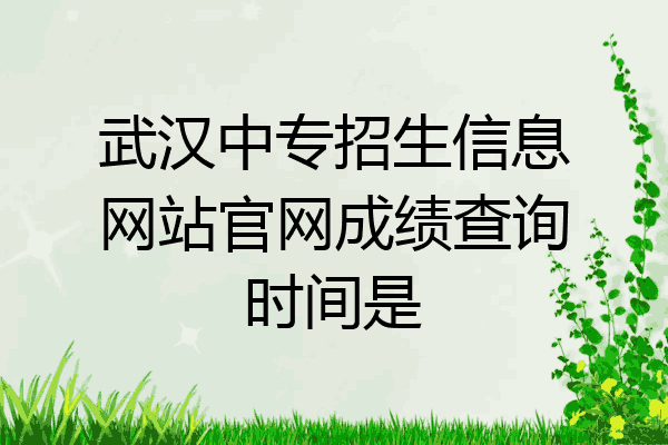 武汉中专招生信息网站官网成绩查询时间是