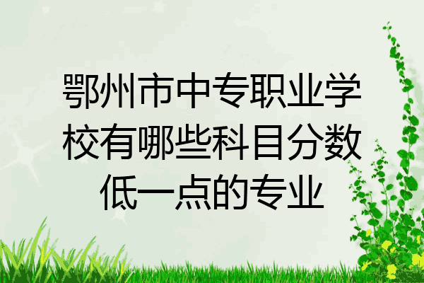 鄂州市中专职业学校有哪些科目分数低一点的专业