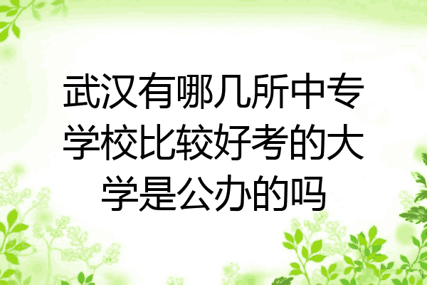 武汉有哪几所中专学校比较好考的大学是公办的吗