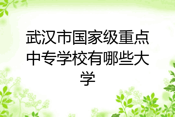 武汉市国家级重点中专学校有哪些大学