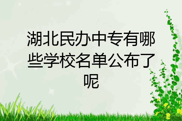 湖北民办中专有哪些学校名单公布了呢