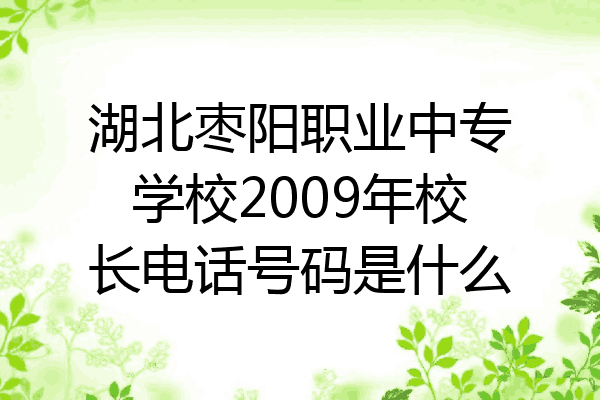 湖北枣阳职业中专学校2009年校长电话号码是什么