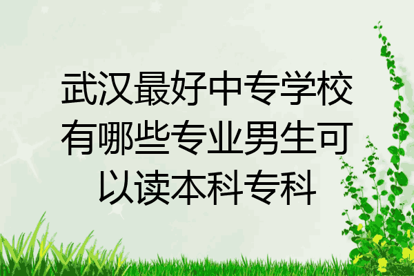 武汉最好中专学校有哪些专业男生可以读本科专科