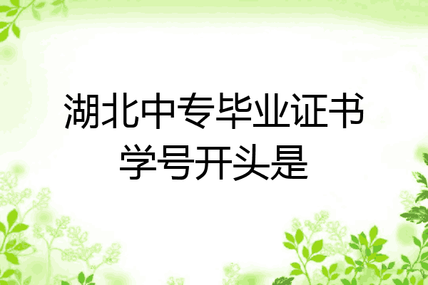 湖北中专毕业证书学号开头是