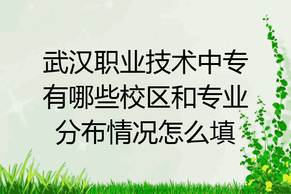 武汉职业技术中专有哪些校区和专业分布情况怎么填