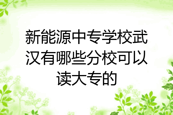 新能源中专学校武汉有哪些分校可以读大专的