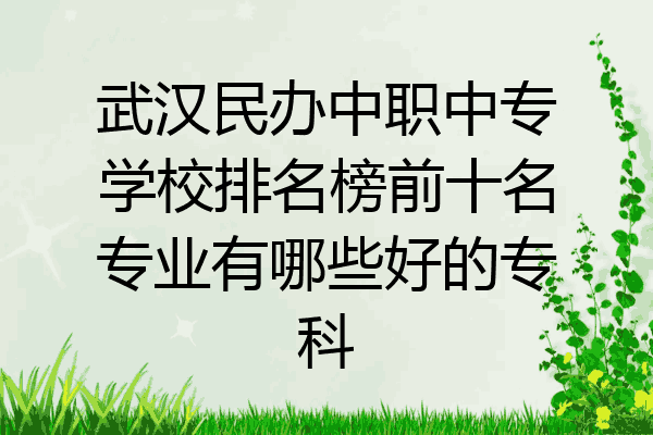 武汉民办中职中专学校排名榜前十名专业有哪些好的专科