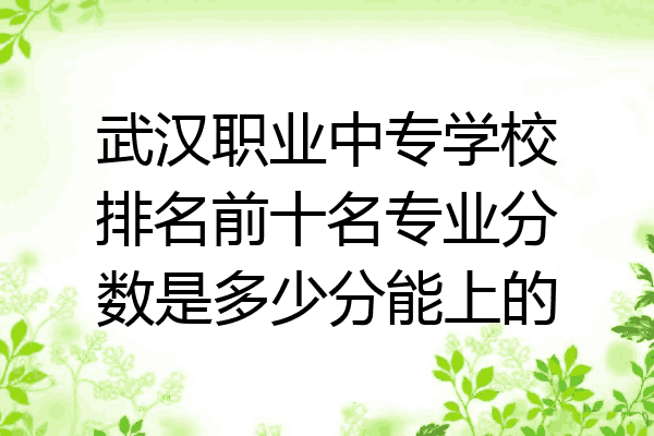 武汉职业中专学校排名前十名专业分数是多少分能上的