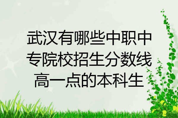 武汉有哪些中职中专院校招生分数线高一点的本科生