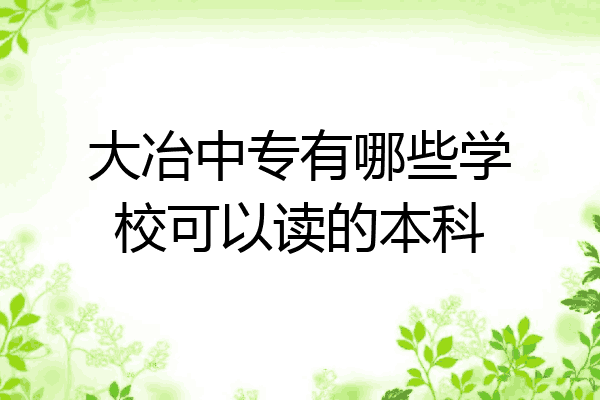 大冶中专有哪些学校可以读的本科