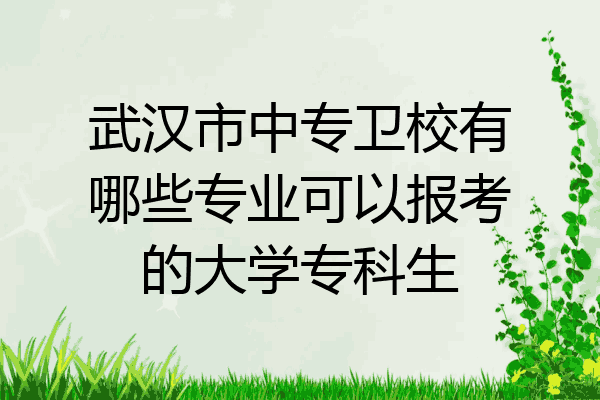武汉市中专卫校有哪些专业可以报考的大学专科生