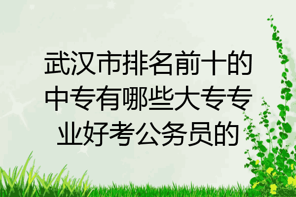 武汉市排名前十的中专有哪些大专专业好考公务员的