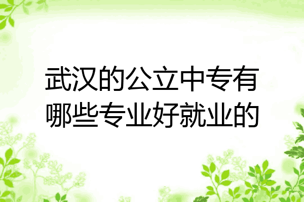 武汉的公立中专有哪些专业好就业的