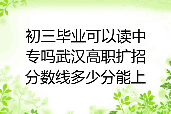 初三毕业可以读中专吗武汉高职扩招分数线多少分能上