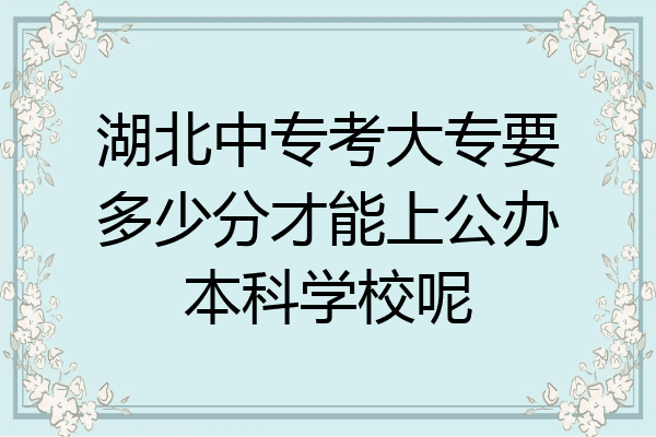 湖北中专考大专要多少分才能上公办本科学校呢