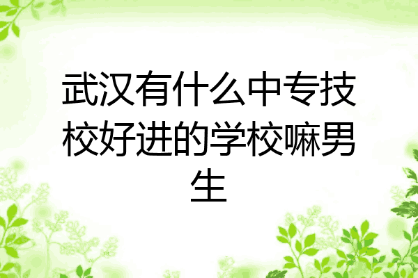 武汉有什么中专技校好进的学校嘛男生