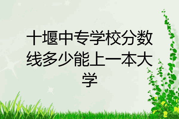 十堰中专学校分数线多少能上一本大学