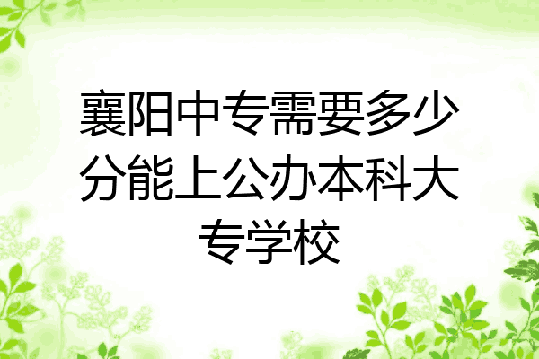 襄阳中专需要多少分能上公办本科大专学校