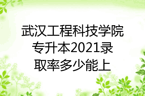 武汉工程科技学院专升本2021录取率多少能上