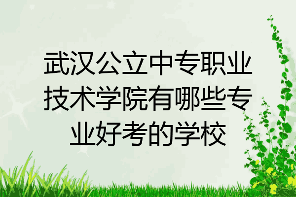 武汉公立中专职业技术学院有哪些专业好考的学校