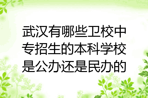 武汉有哪些卫校中专招生的本科学校是公办还是民办的