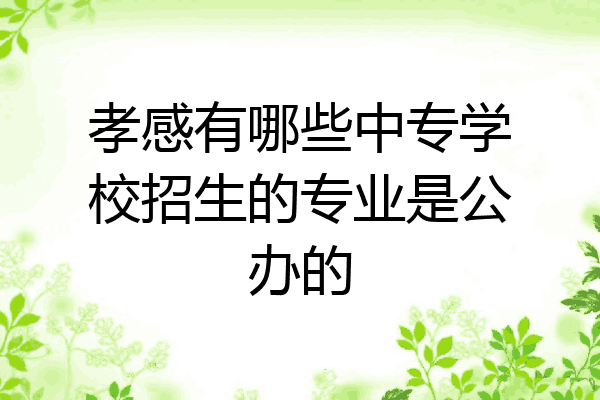 孝感有哪些中专学校招生的专业是公办的