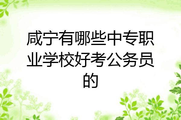 咸宁有哪些中专职业学校好考公务员的