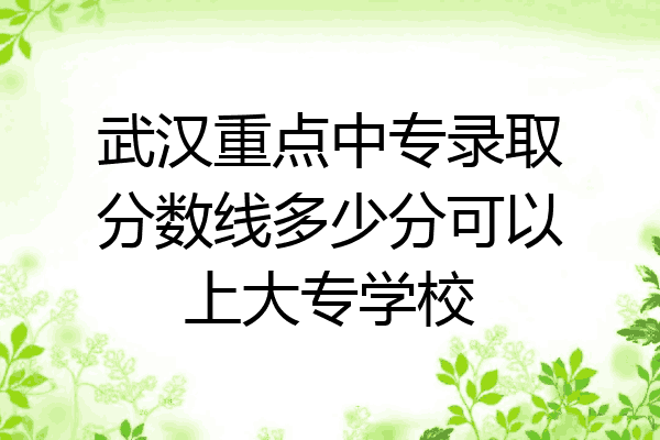 武汉重点中专录取分数线多少分可以上大专学校