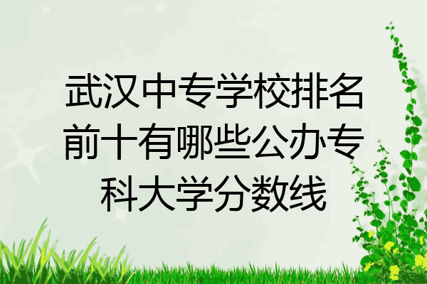 武汉中专学校排名前十有哪些公办专科大学分数线