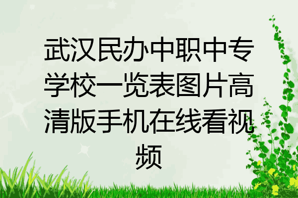 武汉民办中职中专学校一览表图片高清版手机在线看视频