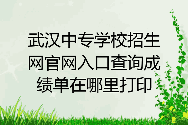 武汉中专学校招生网官网入口查询成绩单在哪里打印