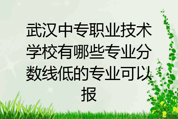 武汉中专职业技术学校有哪些专业分数线低的专业可以报