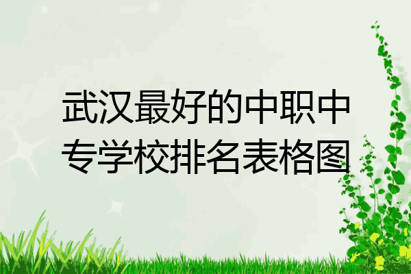 武汉最好的中职中专学校排名表格图