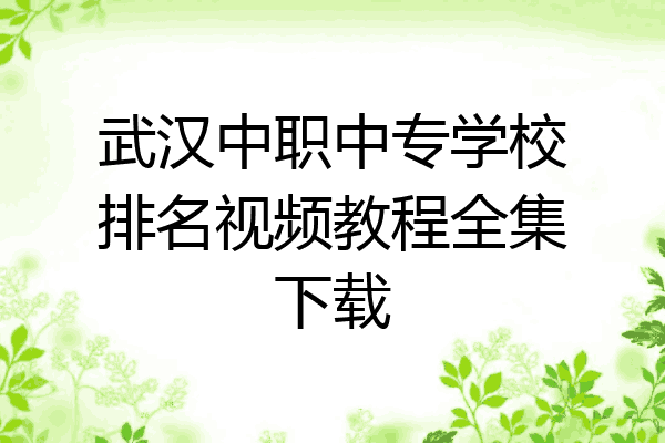 武汉中职中专学校排名视频教程全集下载