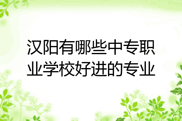 汉阳有哪些中专职业学校好进的专业